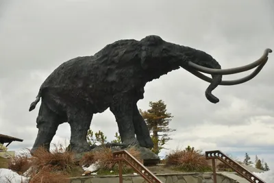 DSC_6742 (Large).JPG